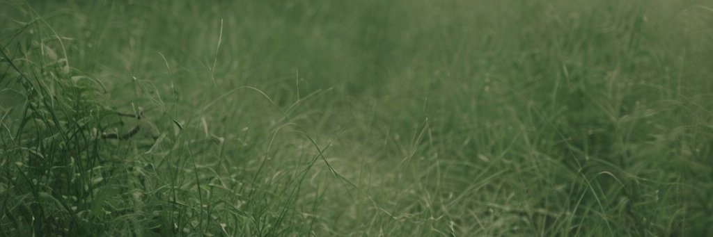 𝑎𝑒𝑠𝑡ℎ𝑒𝑡𝑖𝑐 𝑎𝑟𝑡's banner