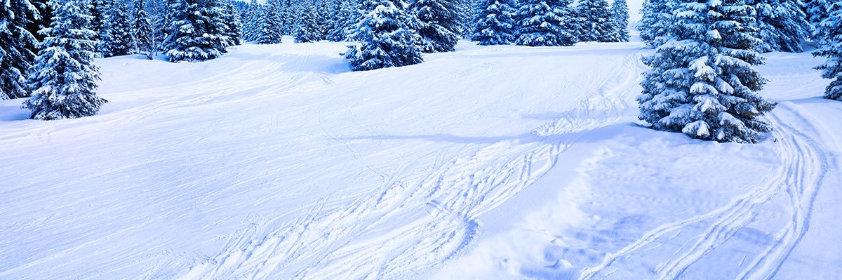 DailySnowbunny ❄️'s banner