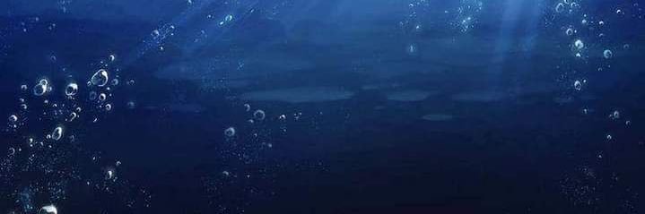 愛ゆえに🦈⛓️🖤's banner