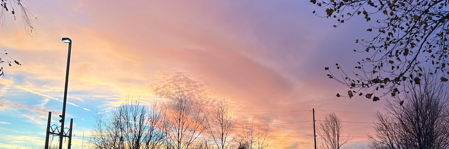 Fiona's banner