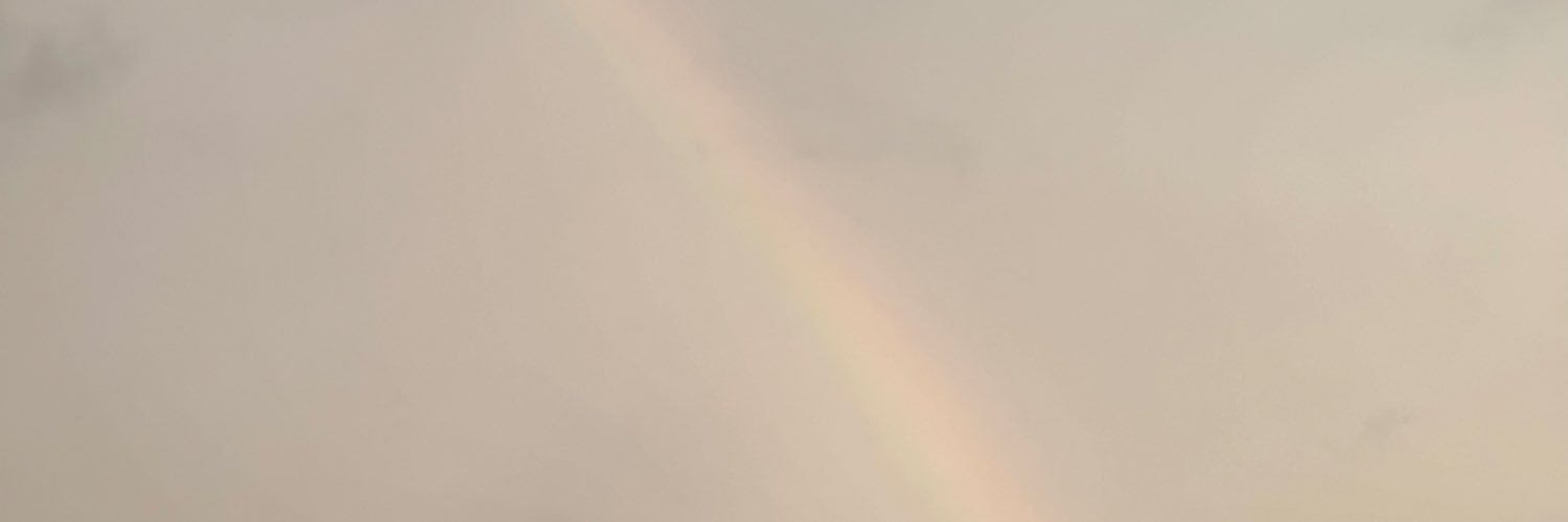 lane's banner
