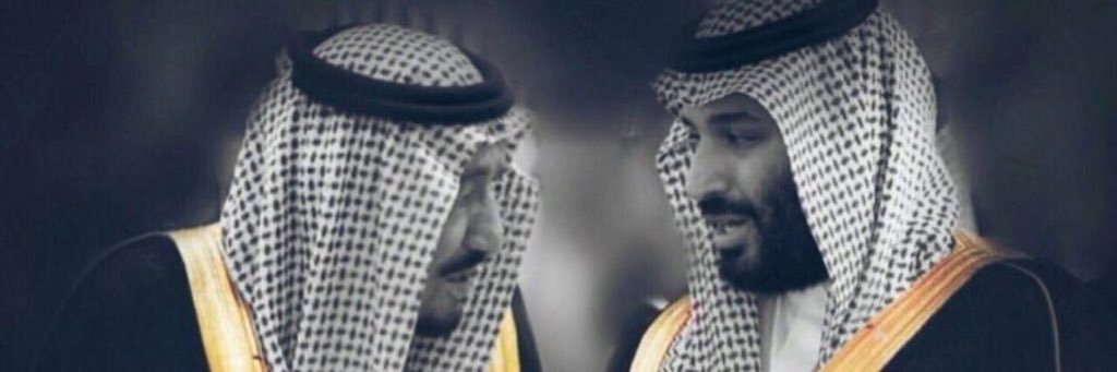 ابراهيم العيسى's banner