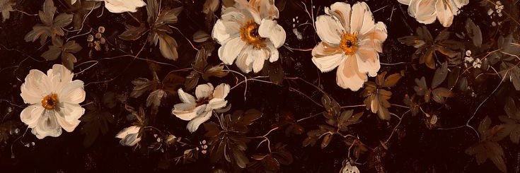 𝓚𝓾𝓻𝓪's banner