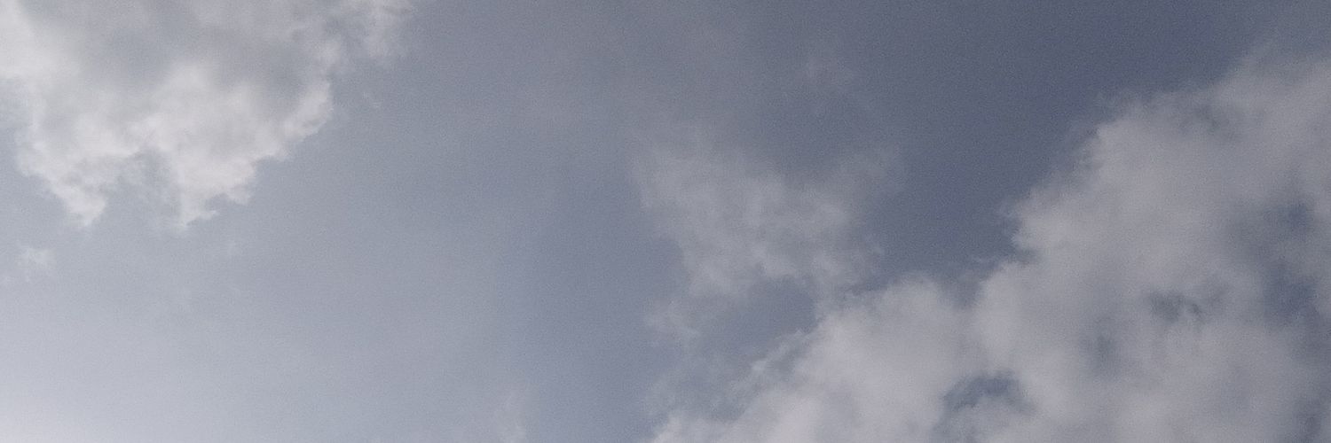 Tijjani🇵🇹's banner