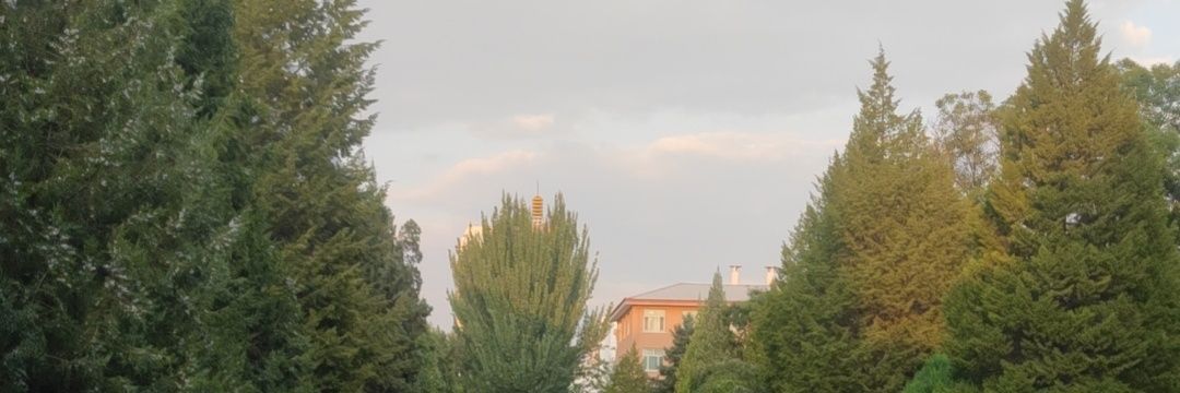 我是武装直升机，请不要质疑我的爱好's banner