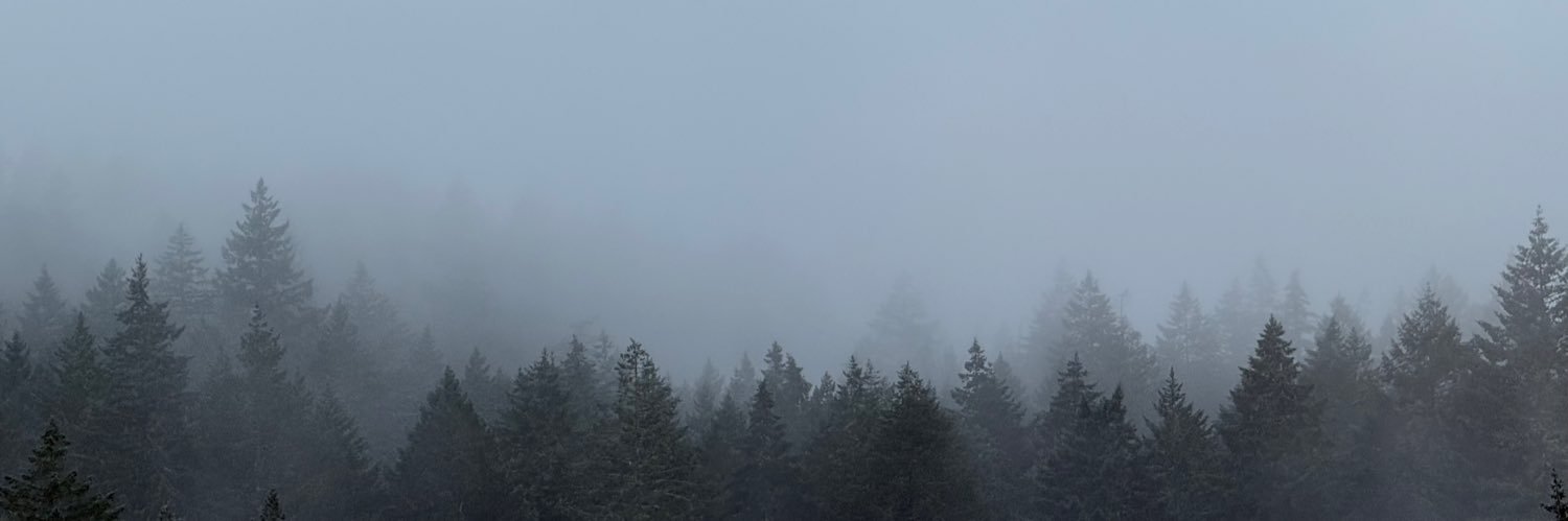 Katja's banner