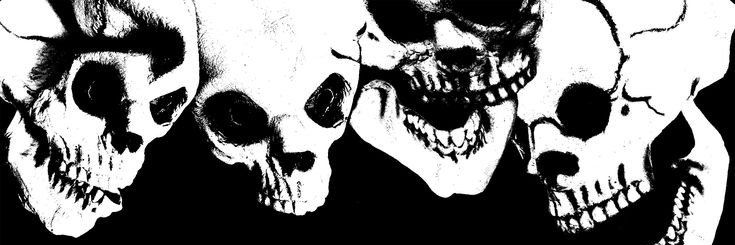 caterina's banner