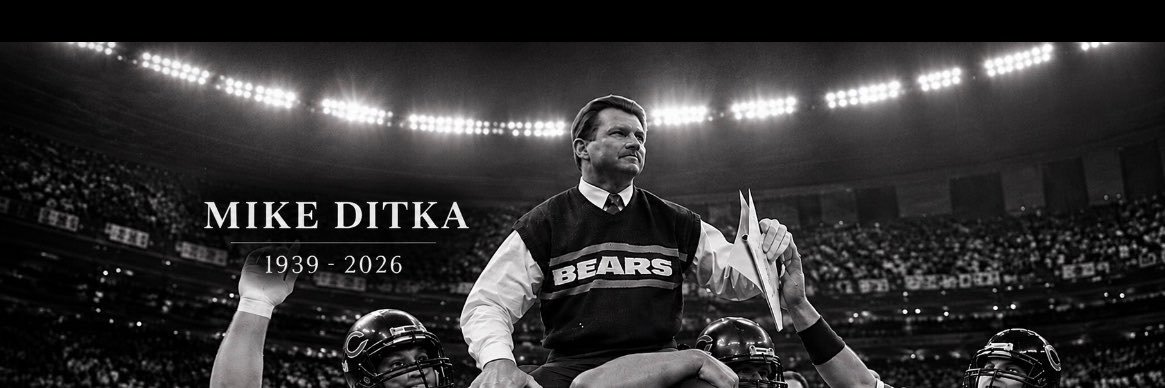 Bears Facts's banner
