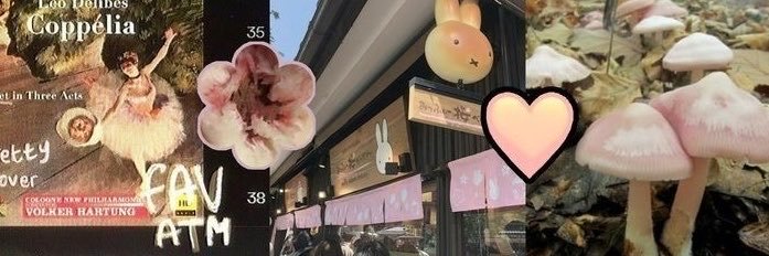 cece 𑄝੭'s banner