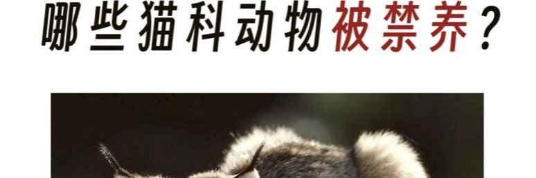 R可露希尔°'s banner