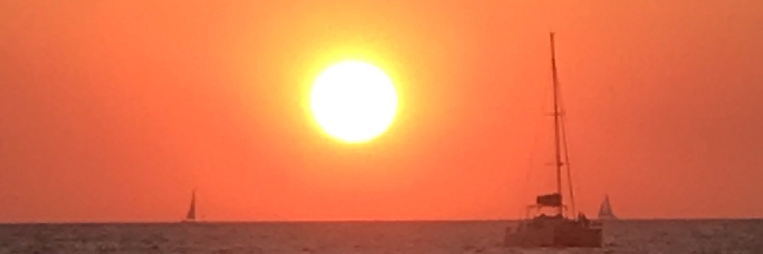 Nικος Ξυδιας's banner