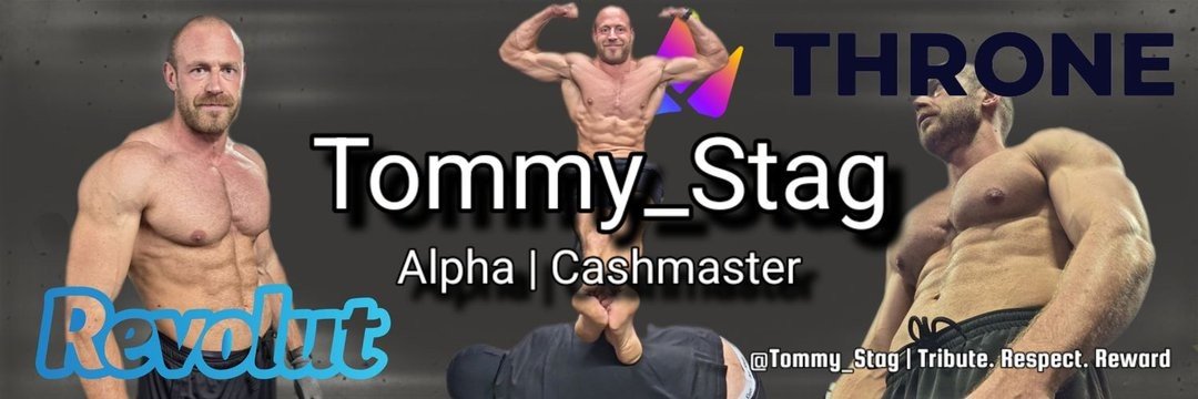 Master Tommy Stag's banner