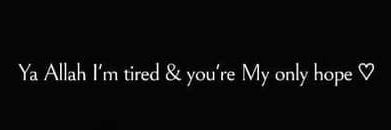 Shafaq ✨️'s banner