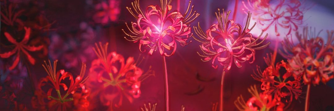 daily phrolova 🎻's banner