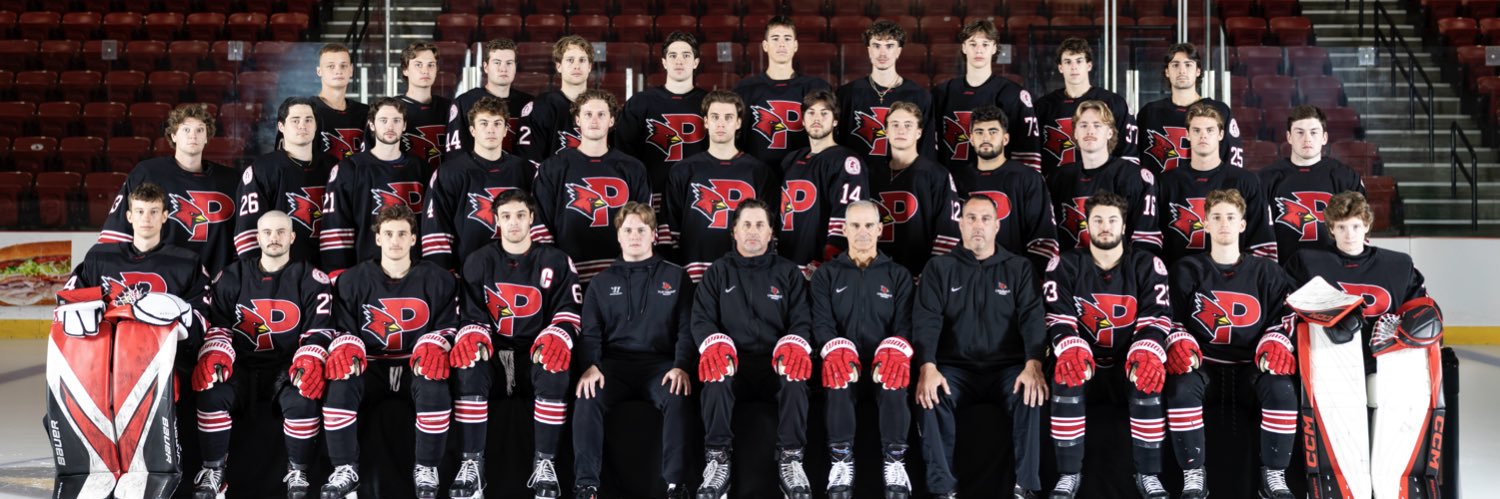 Plattsburgh State Men's Hockey's banner