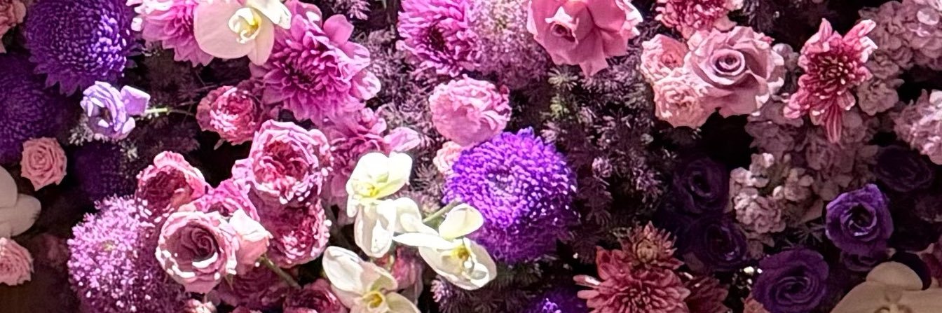 米米是mia's banner