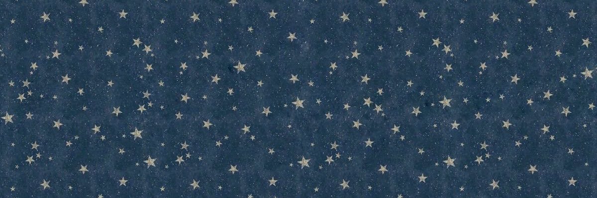 ★₊⁺⊹'s banner