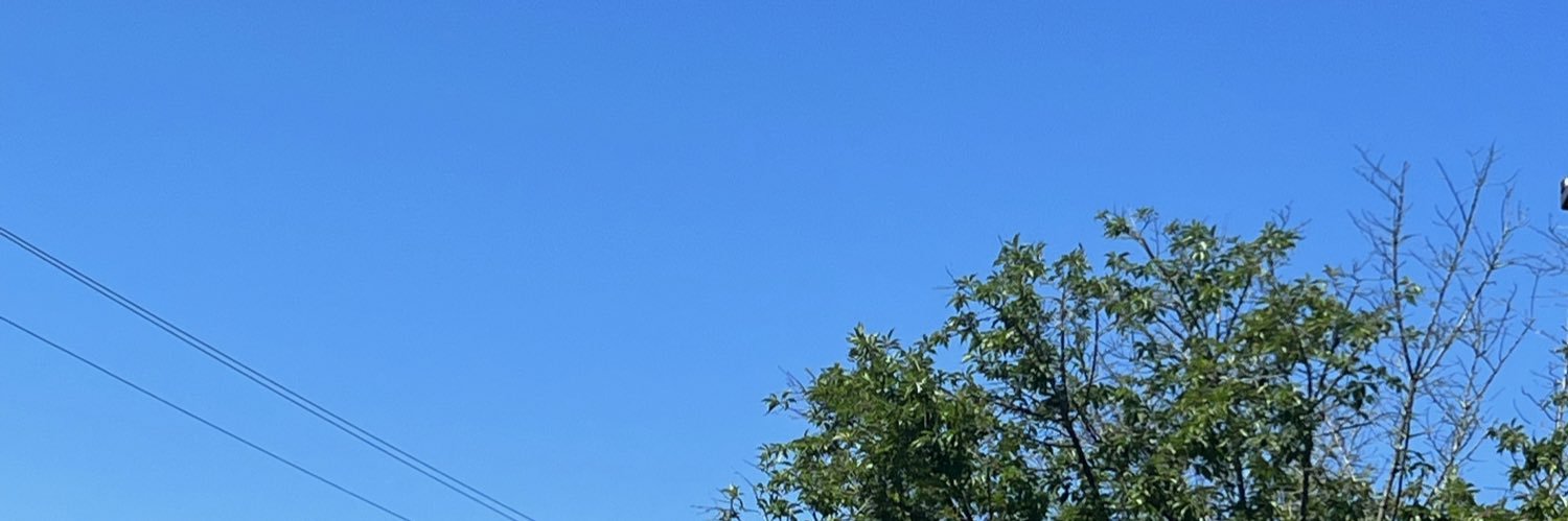 pwnerblu's banner