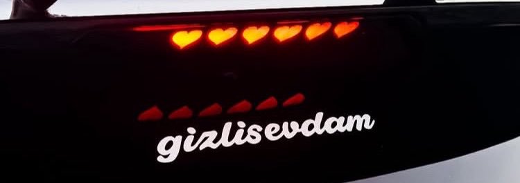 gizlisevdam's banner