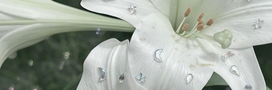 치지…'s banner