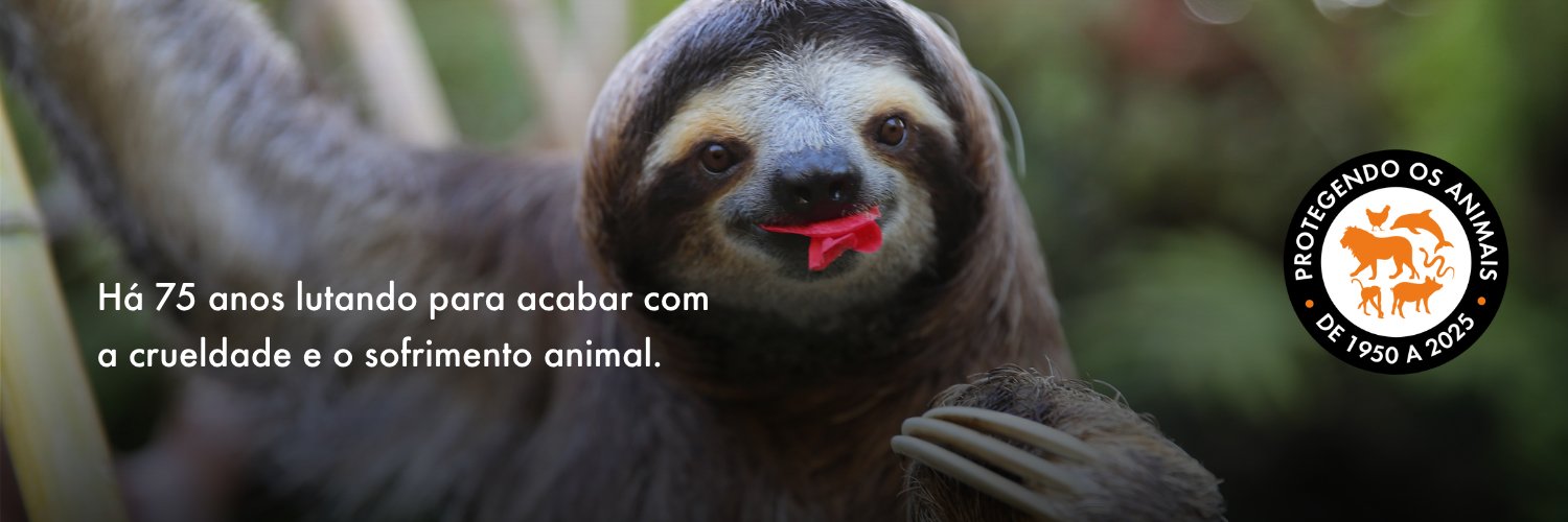Proteção Animal Mundial's banner