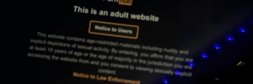 luh taz's banner