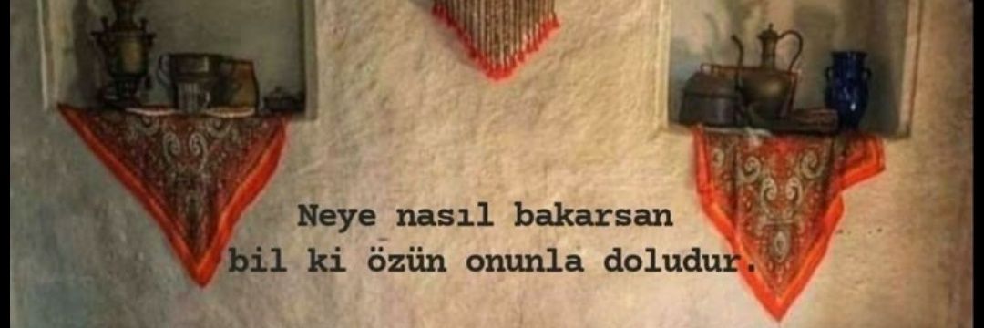 🌸EV HANİMİ🌸's banner