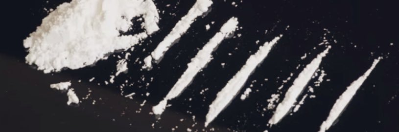 Elle's banner