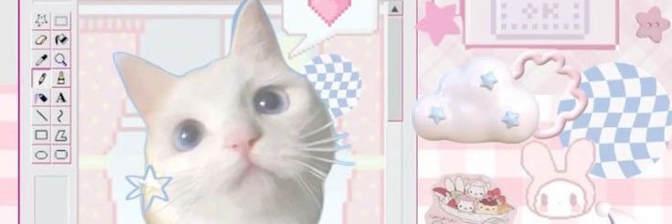 serrulia ❀˖°'s banner