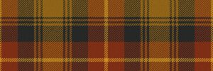 Somebody Somewhere's banner