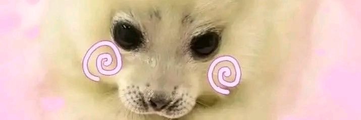 lumi 🦭's banner