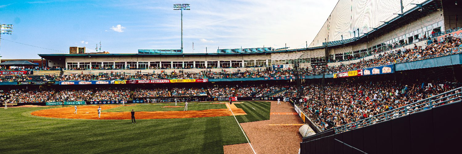 Toledo Mud Hens's banner