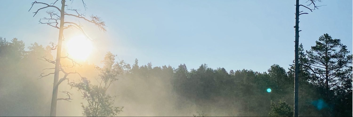 Erika 🇳🇴's banner