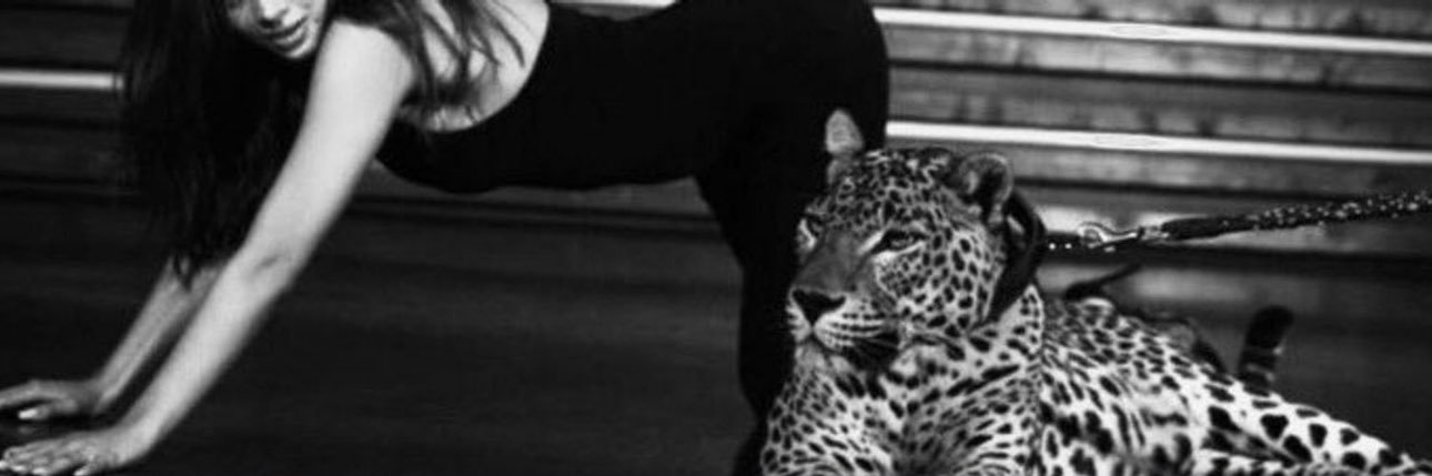 Najwa🎀's banner