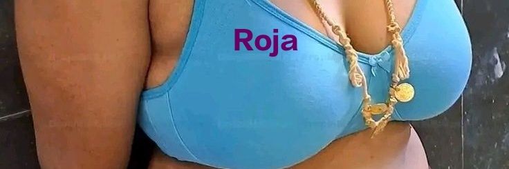 Roja Raja's banner