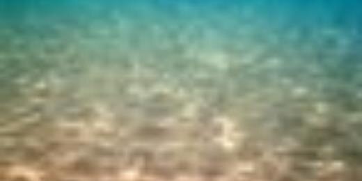 いわみぃー@岩美's banner