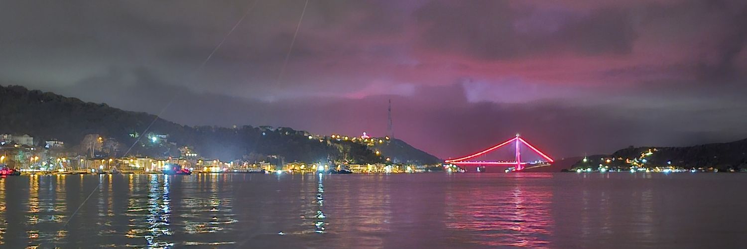 Meltem Esen's banner
