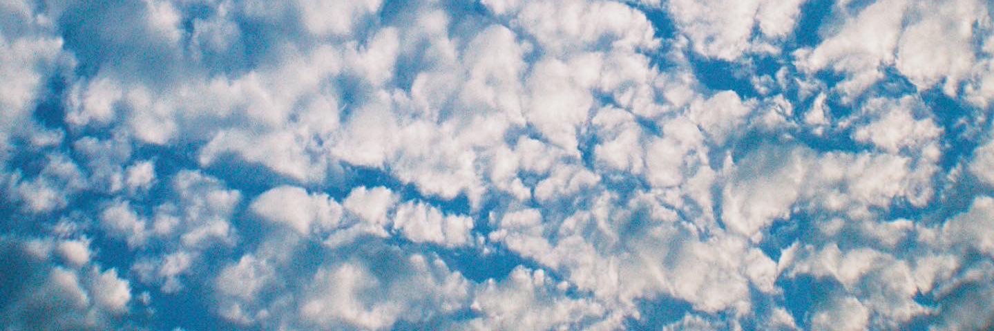 flub ⎯ maxime's banner