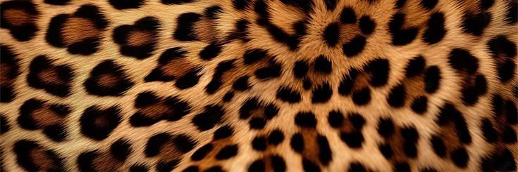 CHANEL$'s banner