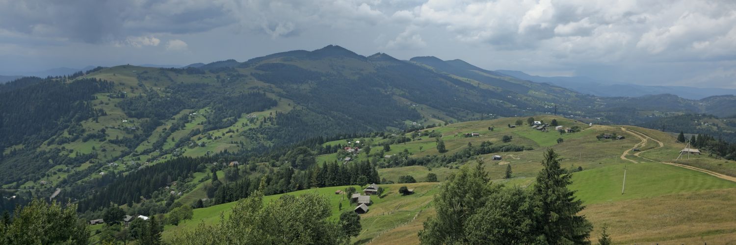 Інсульт's banner
