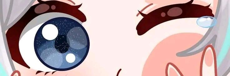 wii chan's banner