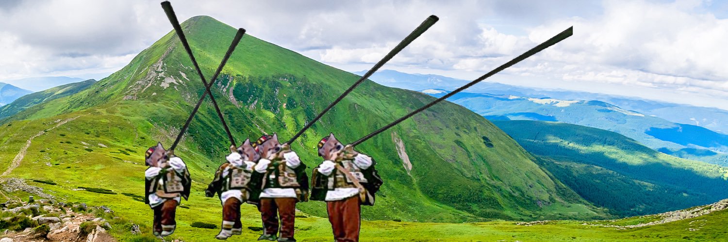 Carpathian fella🌻🇺🇦's banner