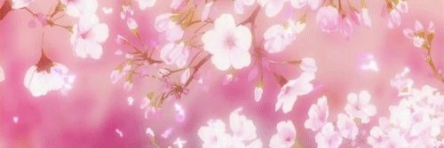 Kumie :3 | Femboy/Catboy's banner