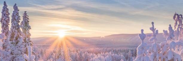 White Beauty's banner