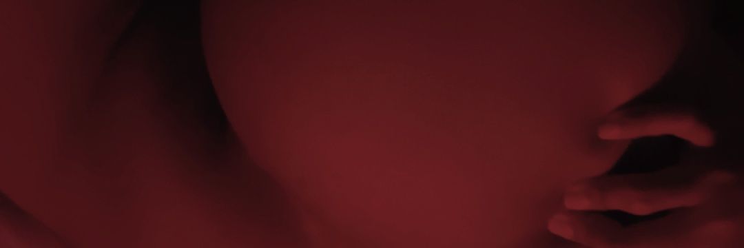 allyyy🌸's banner