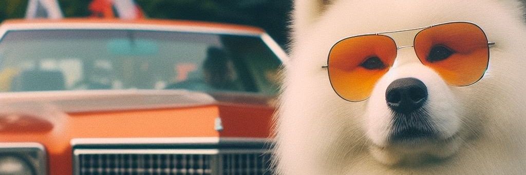 (((WOLFIE SHERMAN)))'s banner
