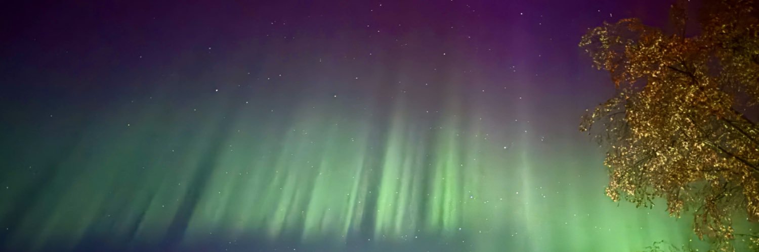 Angie Grey's banner