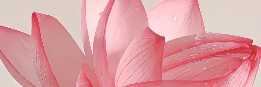 英英🪷's banner