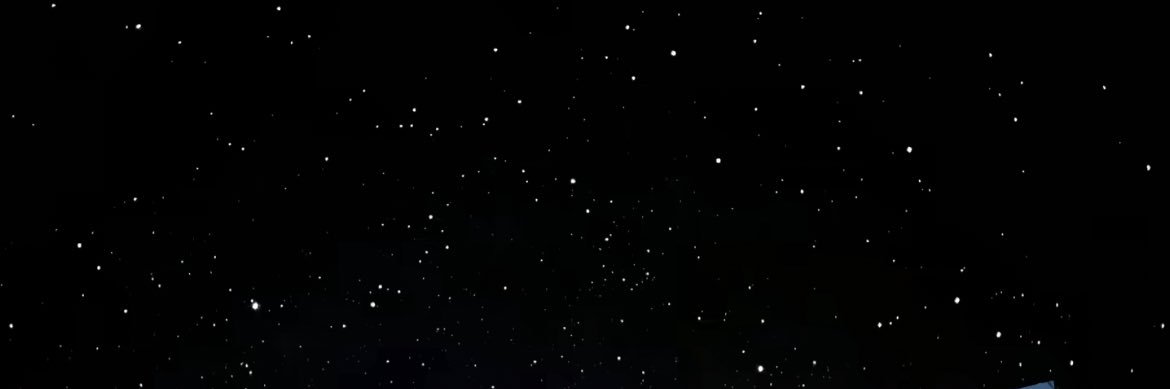 Lyn's banner