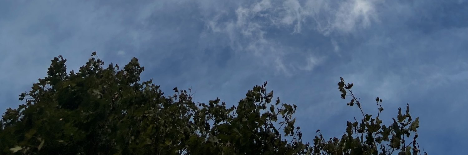 cain's banner